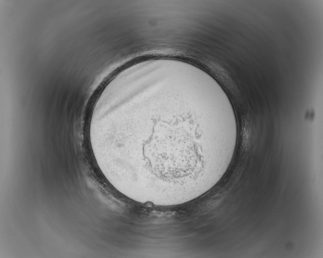 X0000114170484200911051531