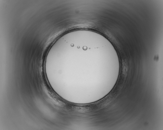 X0000114170486200911051531