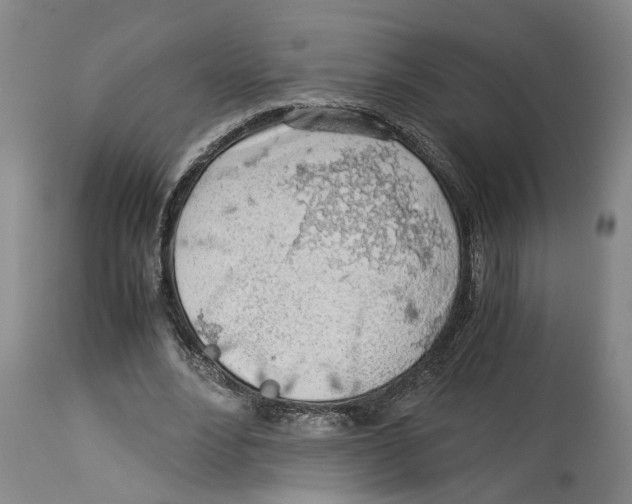 X0000114170488200911051531