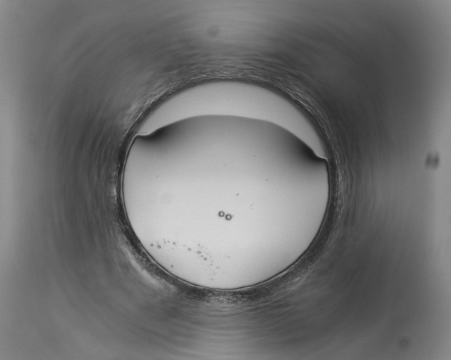 X0000114170489200911051531