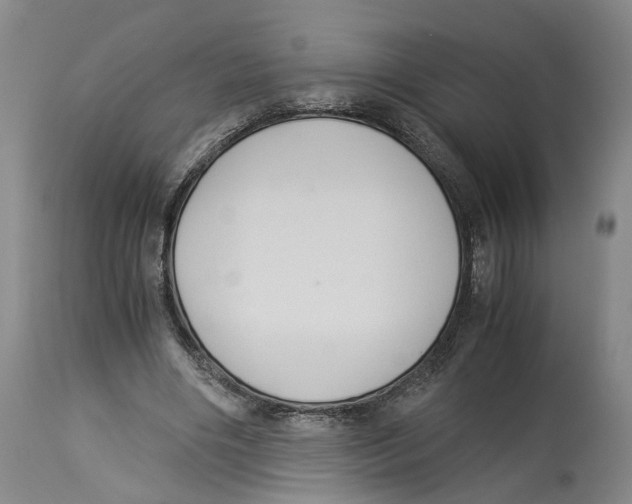 X0000114170490200911051531