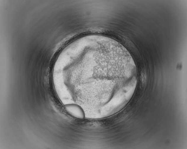 X0000114170492200911051531