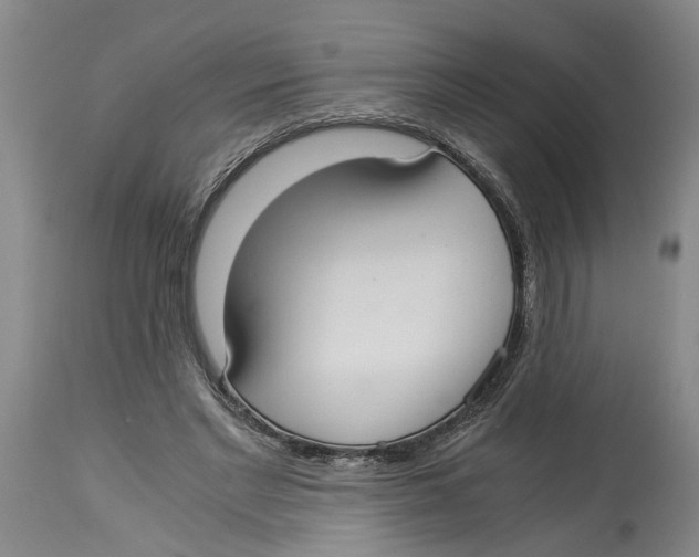 X0000114170493200911051531