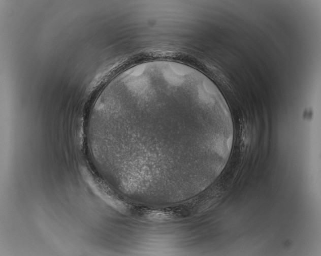 X0000114170494200911051531