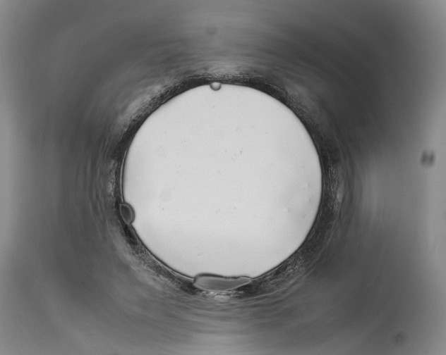 X0000114170495200911051531