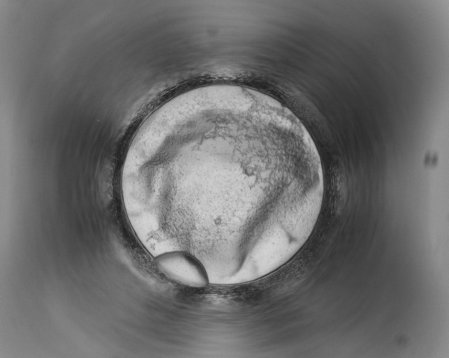 X0000114170496200911051531