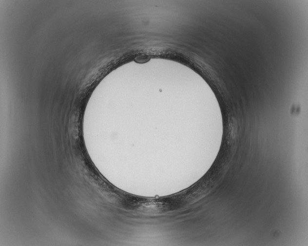 X0000114170497200911051531