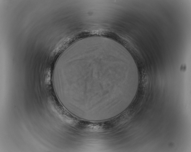 X0000114170502200911051531