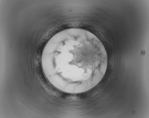 X0000114170503200911051531