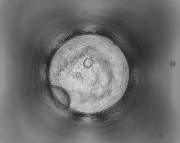 X0000114170504200911051531