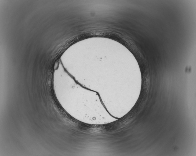 X0000114170505200911051531