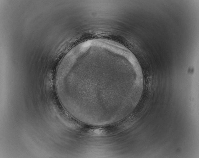 X0000114170506200911051531