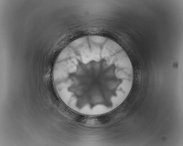 X0000114170507200911051531