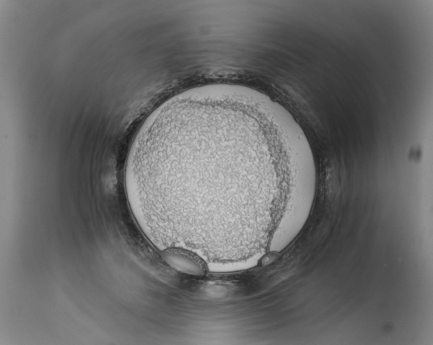 X0000114170508200911051530