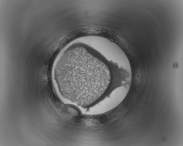 X0000114170512200911051530