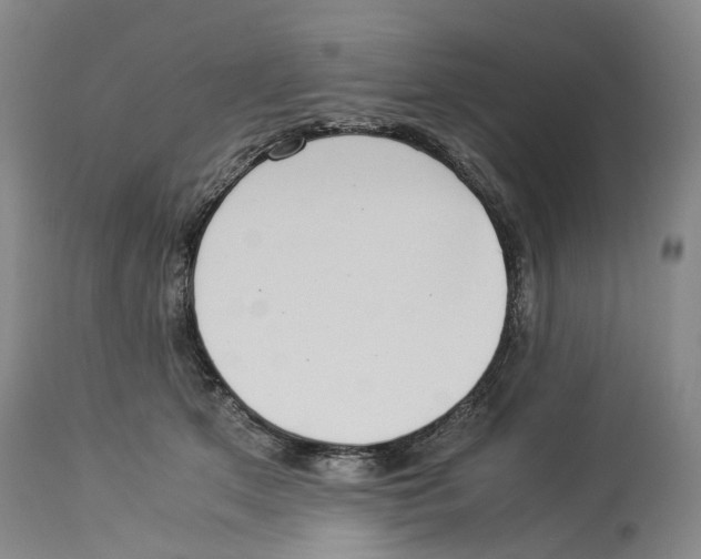 X0000114170513200911051530