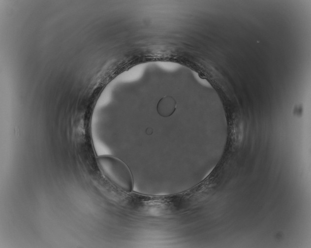 X0000114170516200911051530