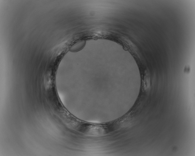 X0000114170520200911051530