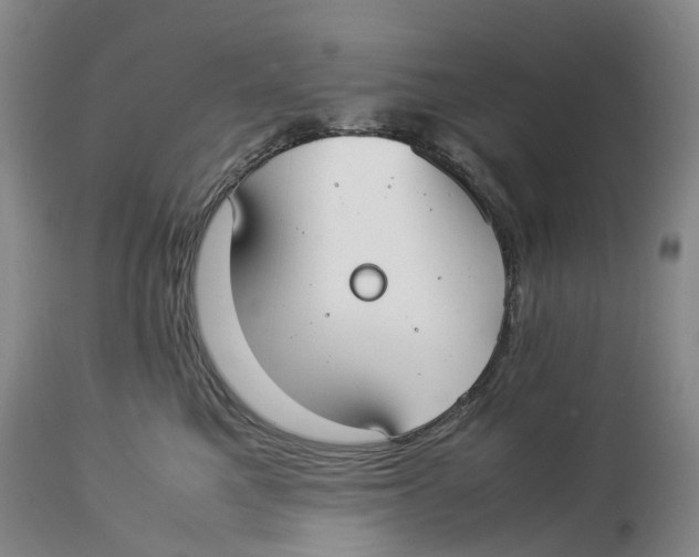 X0000114170521200911051530