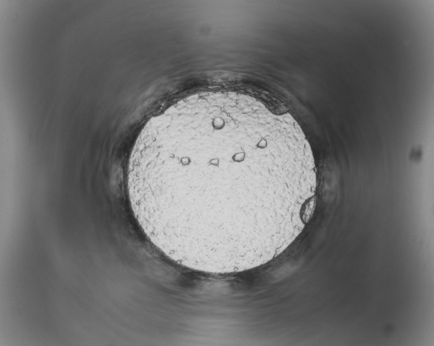 X0000114170523200911051530