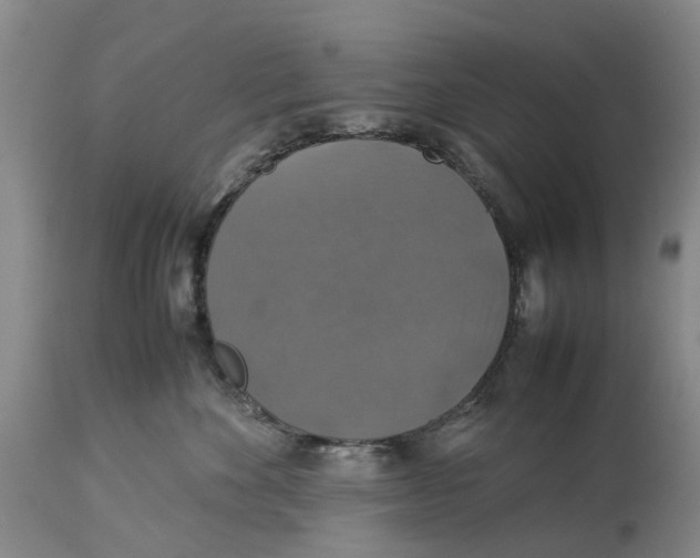 X0000114170524200911051530