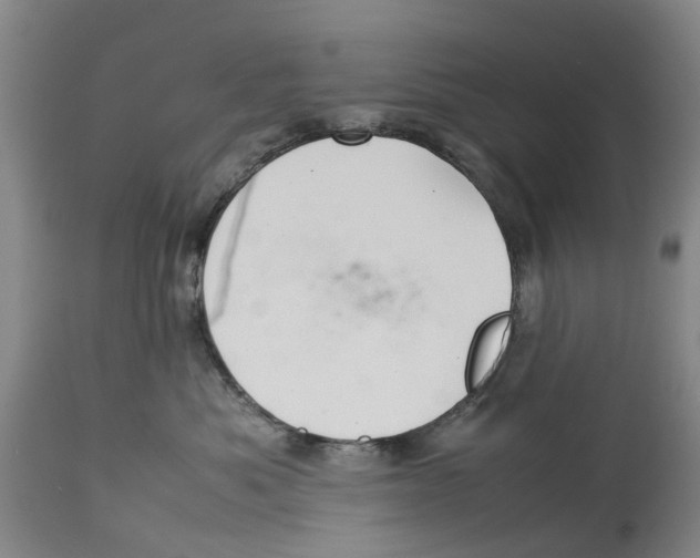 X0000114170525200911051530