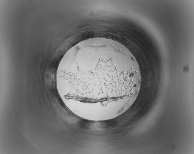 X0000114170527200911051530