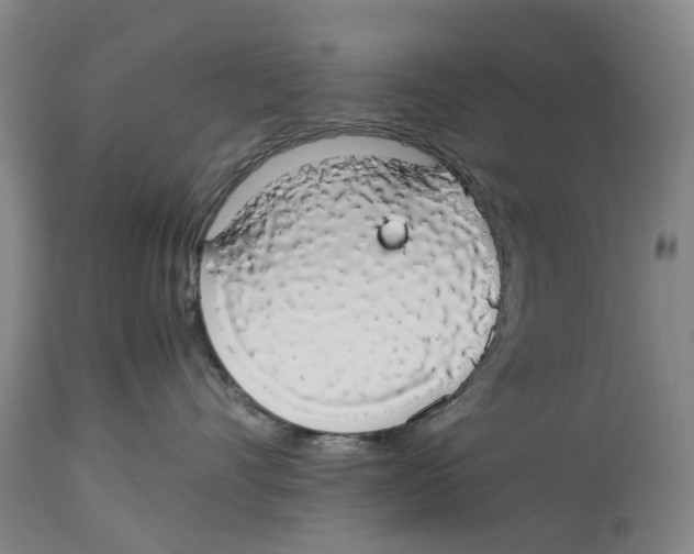 X0000114170528200911051530