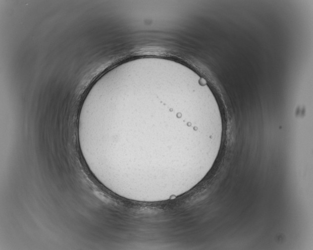 X0000114170529200911051530