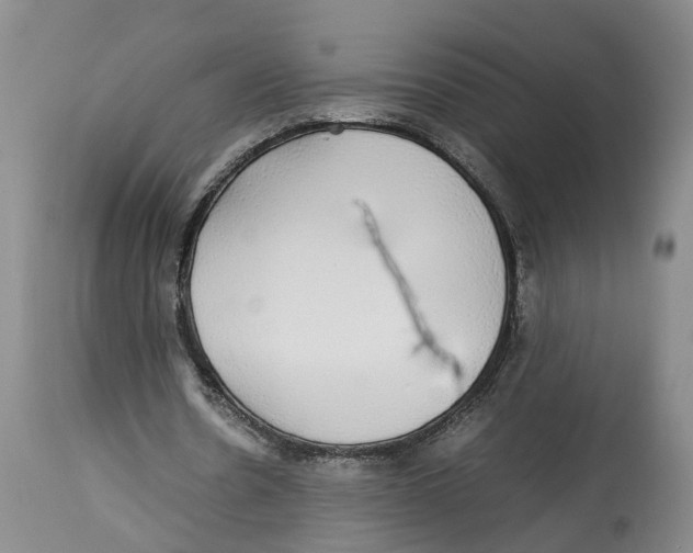 X0000114170530200911051530