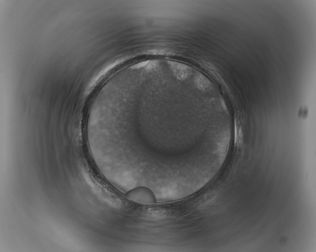 X0000114170531200911051530