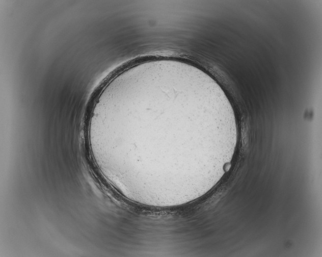 X0000114170532200911051530