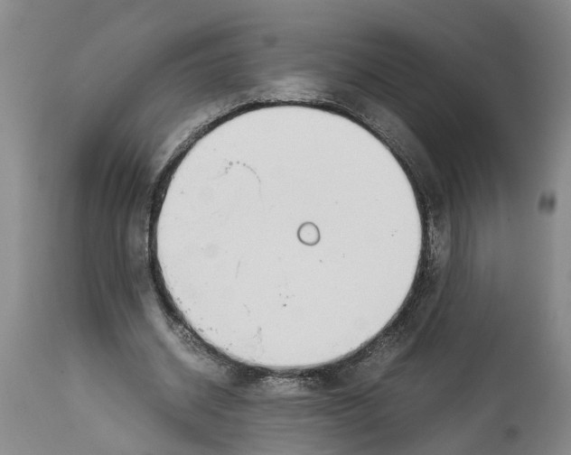 X0000114170534200911051530