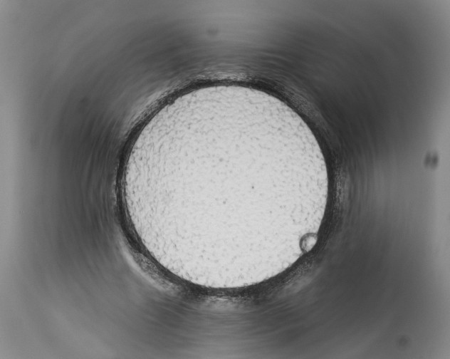 X0000114170538200911051530