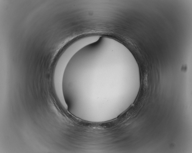 X0000114170540200911051530