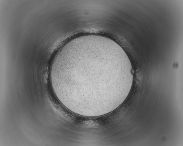 X0000114170544200911051530