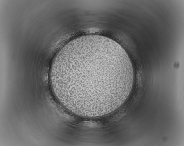 X0000114170545200911051530