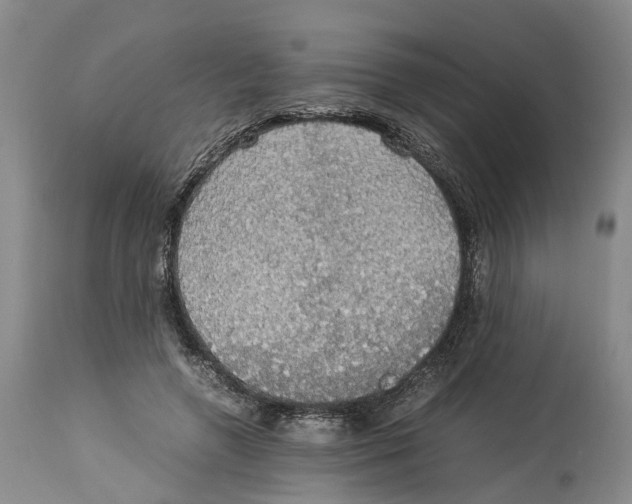 X0000114170546200911051530