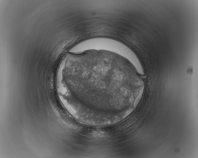 X0000114170547200911051530