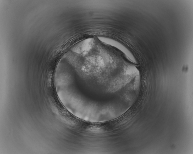 X0000114170551200911051530