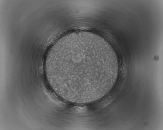 X0000114170552200911051530