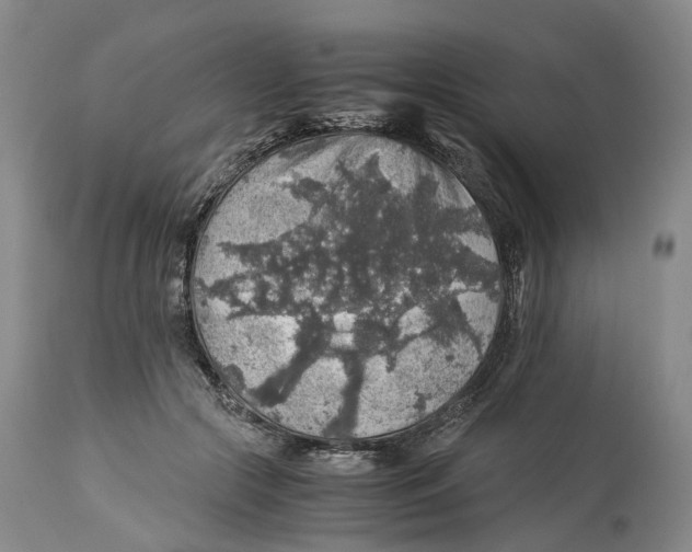 X0000114170553200911051530