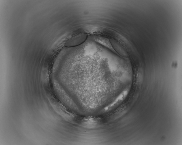 X0000114170558200911051530