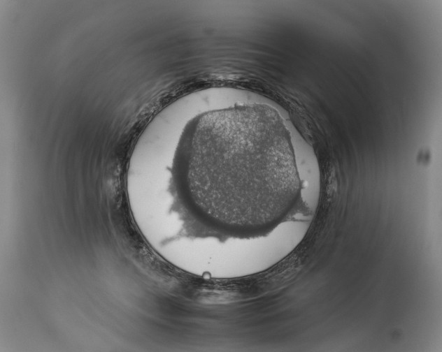 X0000114170559200911051530