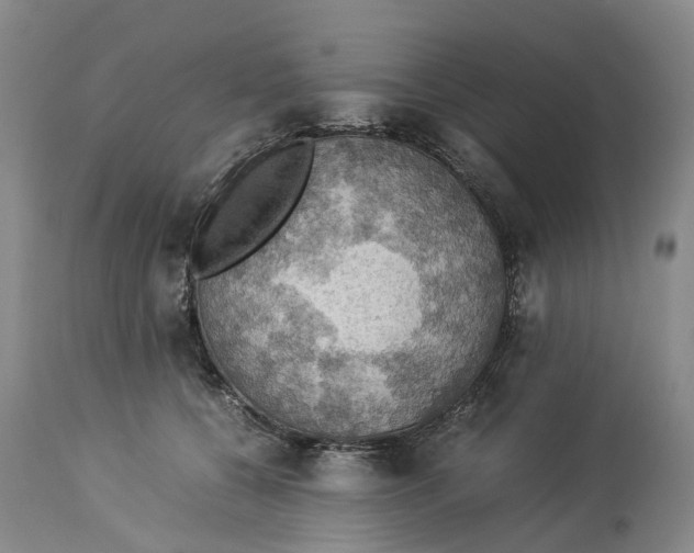 X0000114170560200911051530