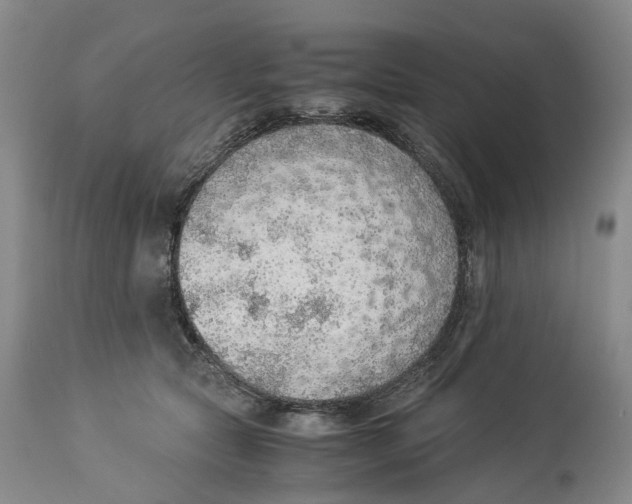 X0000114170561200911051530