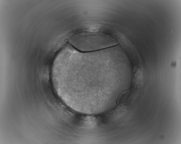 X0000114170562200911051530