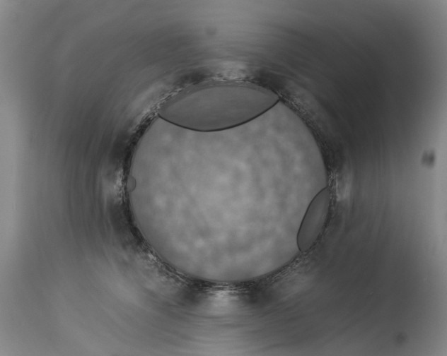 X0000114170564200911051530