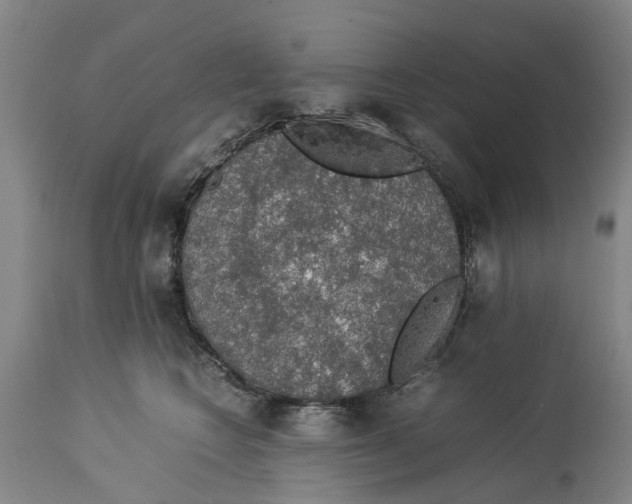 X0000114170566200911051530