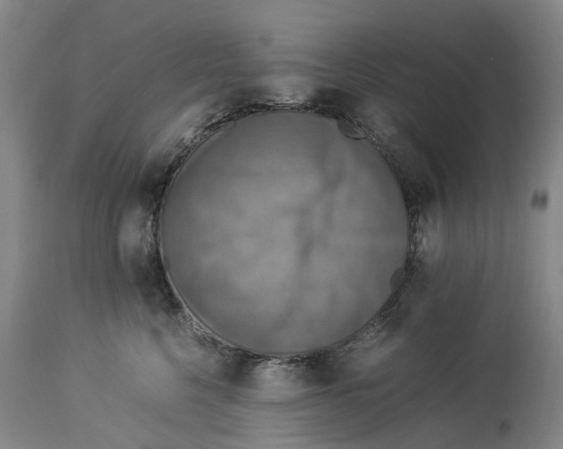 X0000114170568200911051530